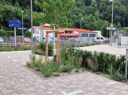 haigerloch 1